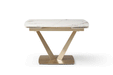 109 Table Golden With 2107 Chairs Set - Lara Furniture