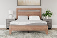 8 Inch Memory Foam Queen Mattress - M59131 - Lara Furniture