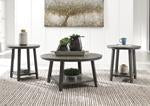 Caitbrook Gray Table (Set of 3) - T188-13 - Lara Furniture