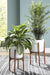 Dorcey White/Brown Planter (Set of 2) - A2000427 - Lara Furniture