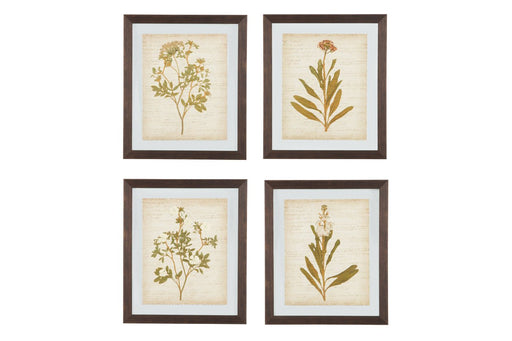 Dyani Multi Wall Art (Set of 4) - A8000198 - Lara Furniture