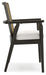 Galliden Dining Arm Chair (Set of 2) - D841-02A