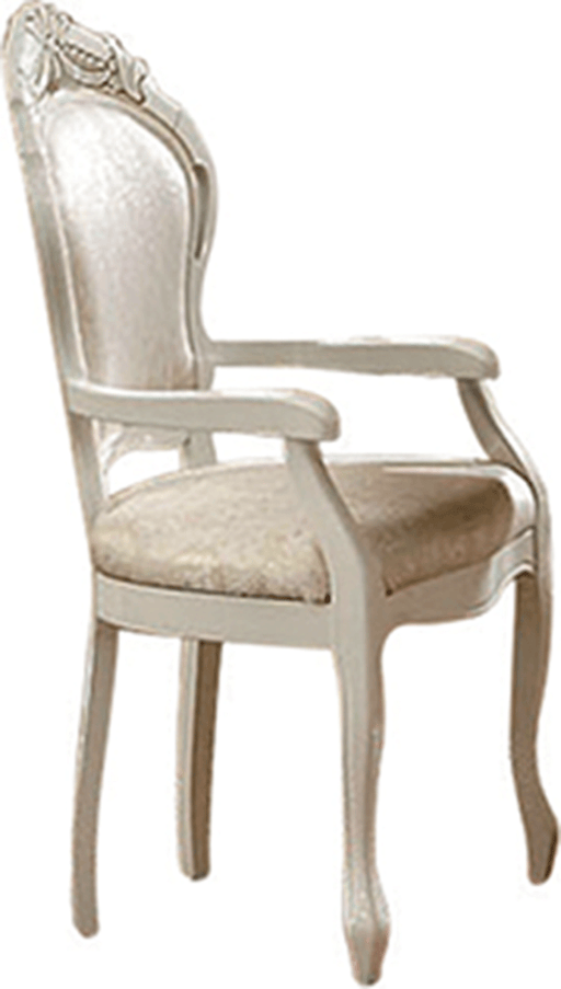 Leonardo Arm Chair - i18596 - Lara Furniture