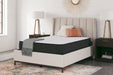 Limited Edition Firm Queen Mattress - M41031