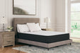 Limited Edition Plush California King Mattress - M41151