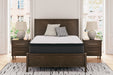 Limited Edition PT Full Mattress - M41221