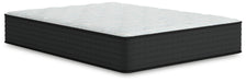 Palisades Firm Queen Mattress - M41531