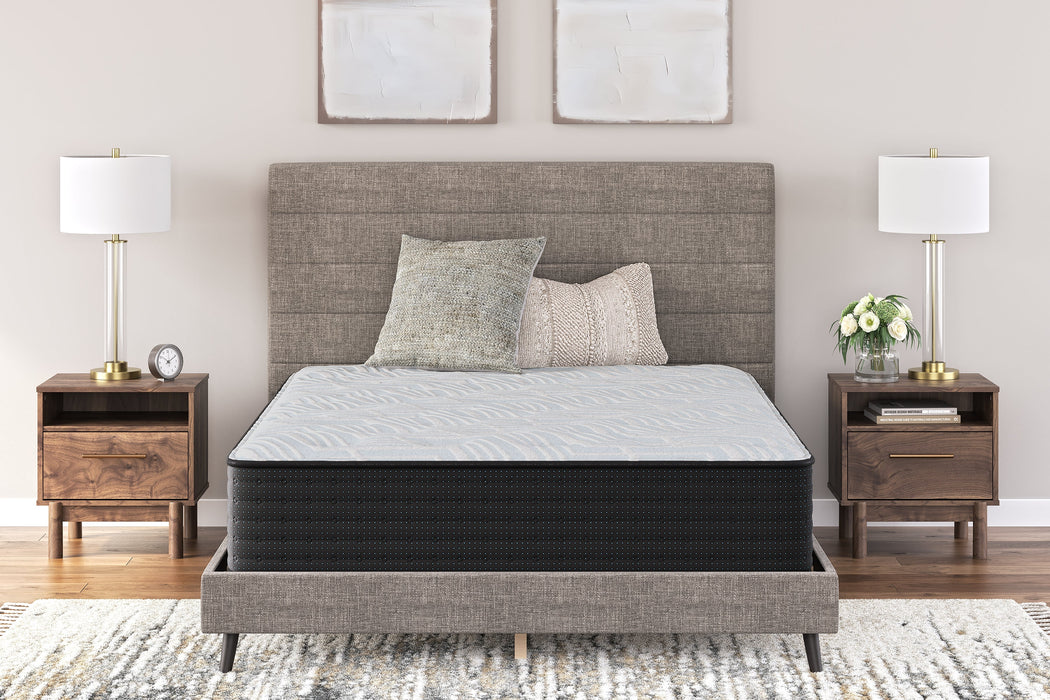 Palisades Plush California King Mattress - M41651