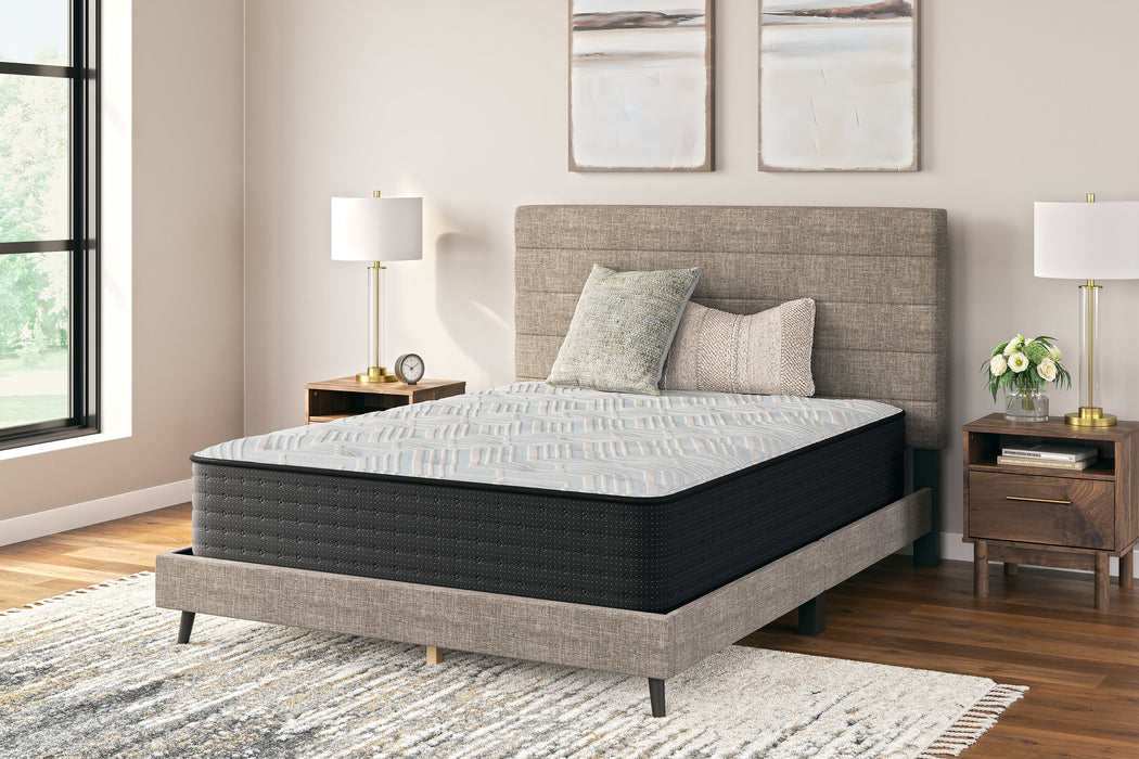 Palisades Plush California King Mattress - M41651