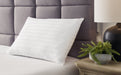 Zephyr 2.0 Cotton Pillow (Set of 2) - M52110P - Lara Furniture