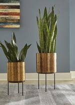 Donisha Antique Brass Finish Planter (Set of 2) - Lara Furniture