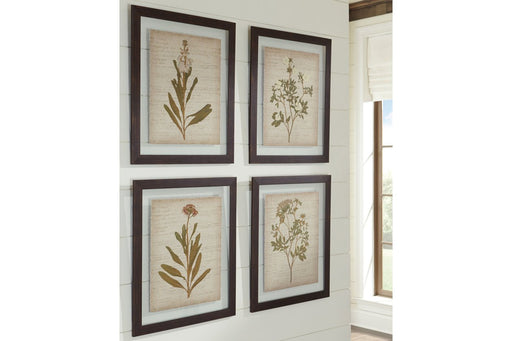 Dyani Multi Wall Art (Set of 4) - Lara Furniture