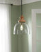 Farica Transparent Pendant Light - Lara Furniture