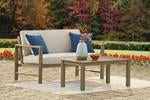 Fynnegan Light Brown Outdoor Loveseat with Table (Set of 2) - Lara Furniture