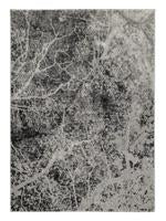 Cailey Black/Cream/Gray 8' x 10' Rug - Lara Furniture